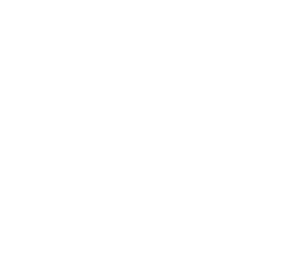 Monkey 47 Gin
