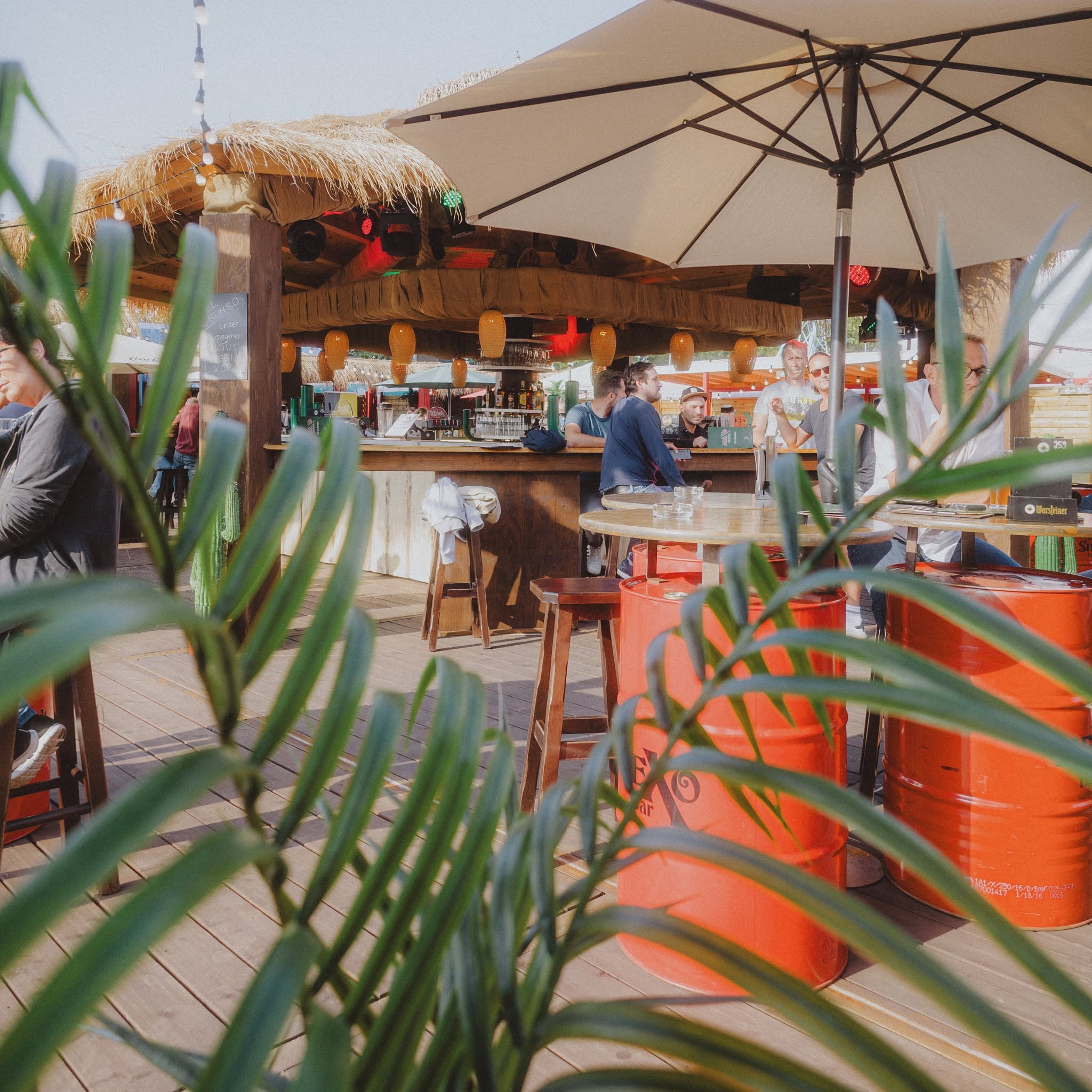 Mexo Bar bei Tag mit Palmendach und Gästen